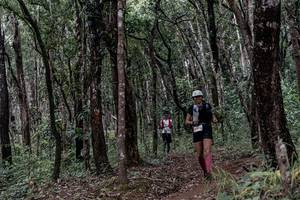 BIB: 
                            <button type="button" onclick="openModal(22792011)" class="btn btn-primary btn-sm float-right btn-popup" data-toggle="modal" data-target=".modal-high-quality">
                        <i class="fas fa-shopping-cart"></i> Add to Cart
                    </button>
                                            <button type="button" onclick="isThisMe(22792011, true)" class="btn btn-success btn-sm float-right btn-popup btn-isme hidden" data-toggle="tooltip" data-placement="bottom" title="นี่คือรูปของคุณใช่ไหม คลิกที่นี่เพื่อเอาเข้าอัลบั้ม">
                        <i class="fas fa-plus"></i> Add to album
                    </button>
                    <button type="button" onclick="isThisMe(22792011, false)" class="btn btn-warning btn-sm float-right btn-popup btn-isnotme hidden">
                        <i class="fas fa-ban"></i> Remove from album
                    </button>